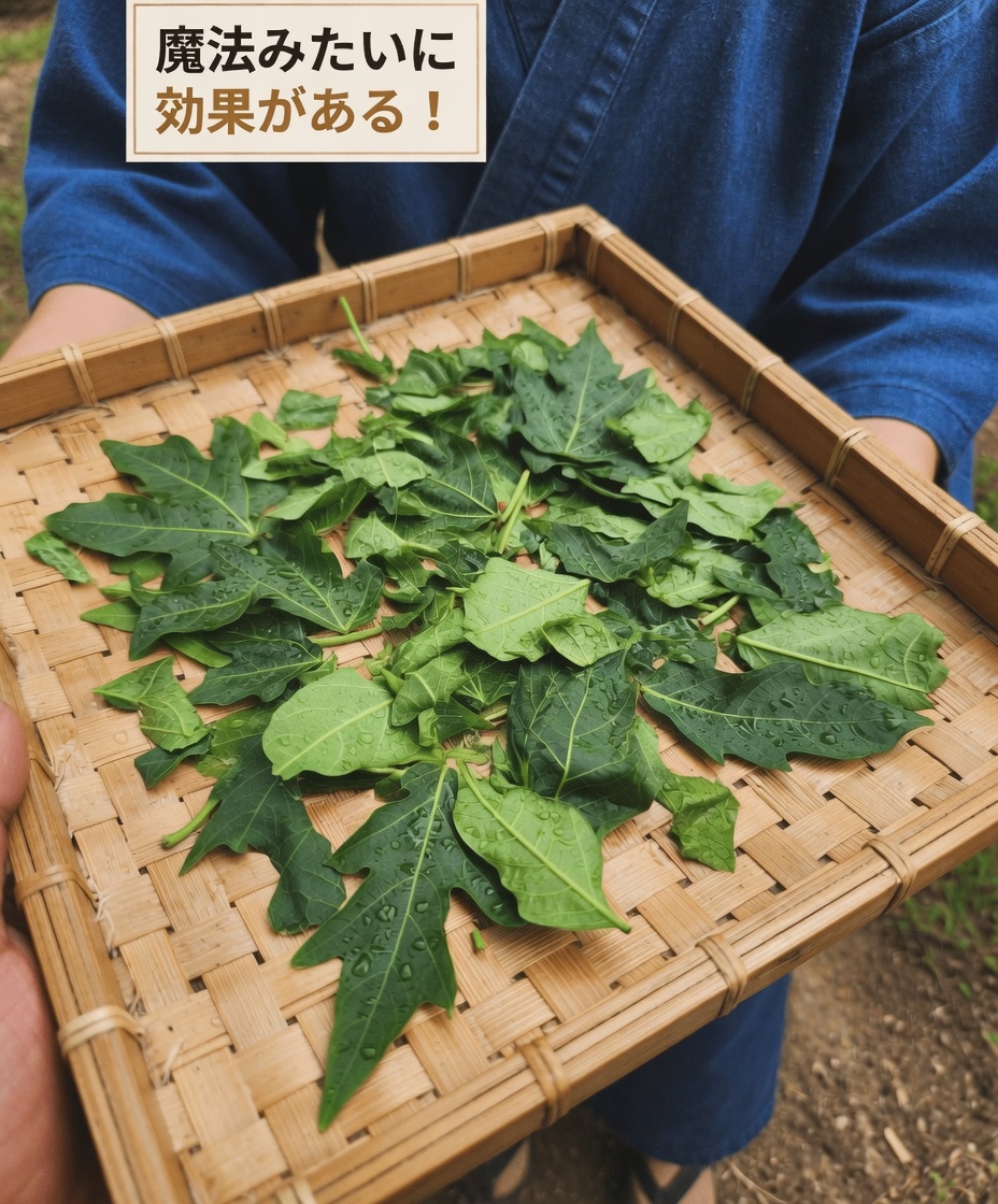 髪のためのパパイヤの葉：この人気の自然療法について知っておくべきこと