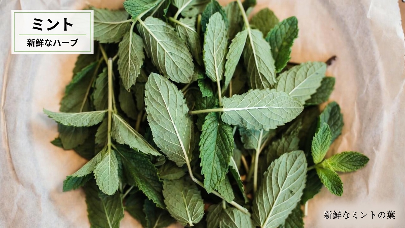 血行不良と脚の静脈の快適さを理解する