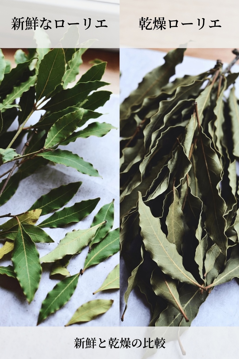 肌の健康のためのローリエ：この身近なハーブの伝統的な使い方や習慣、そして科学が示唆することを探る