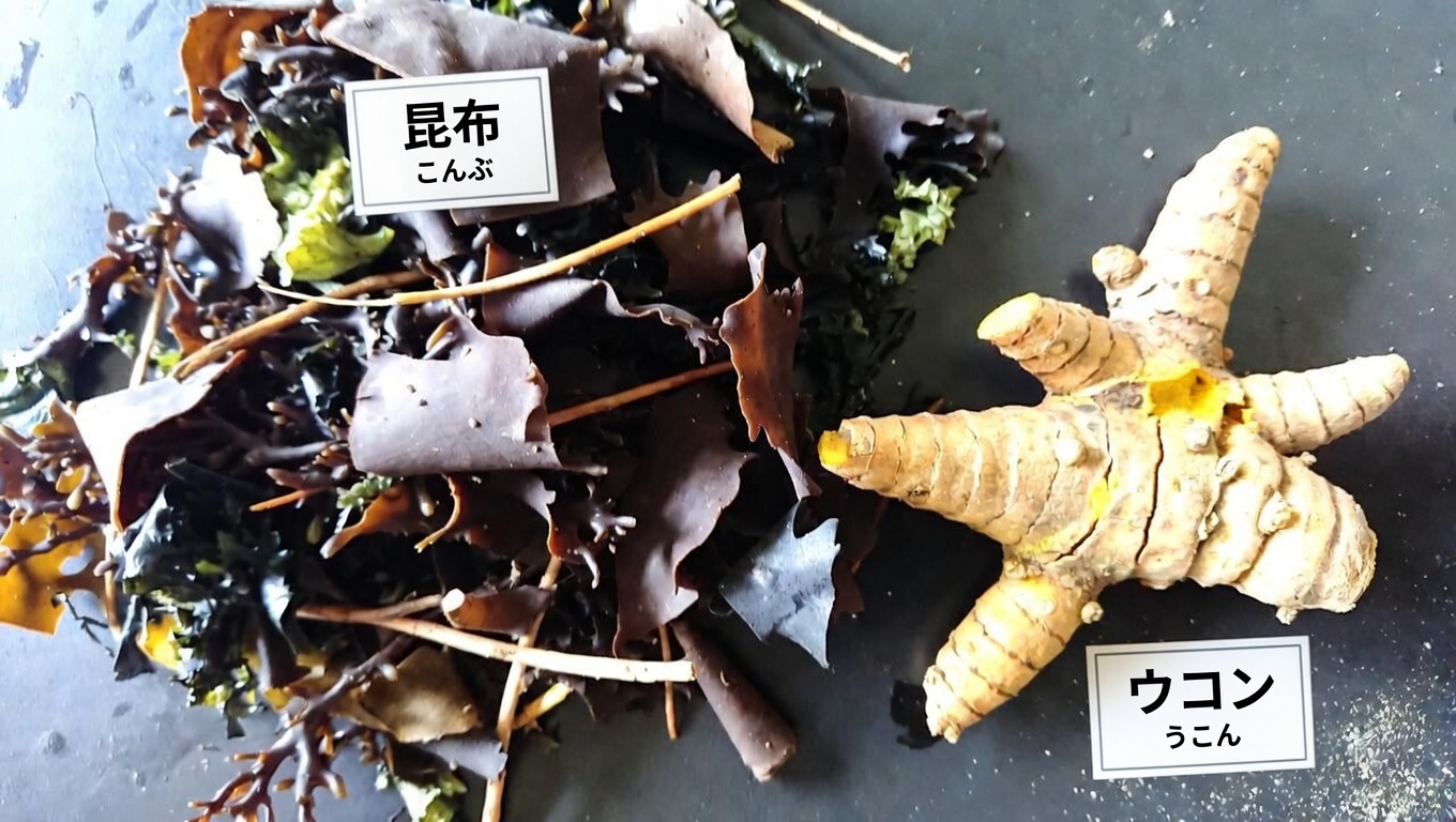 日々の習慣と食べ物の選び方で甲状腺の健康を支えるシンプルな方法