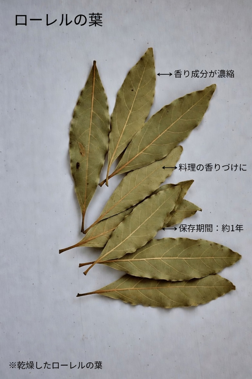 健康的な肌の見た目をサポートするために知っておきたいベイリーフと亜麻仁油のこと