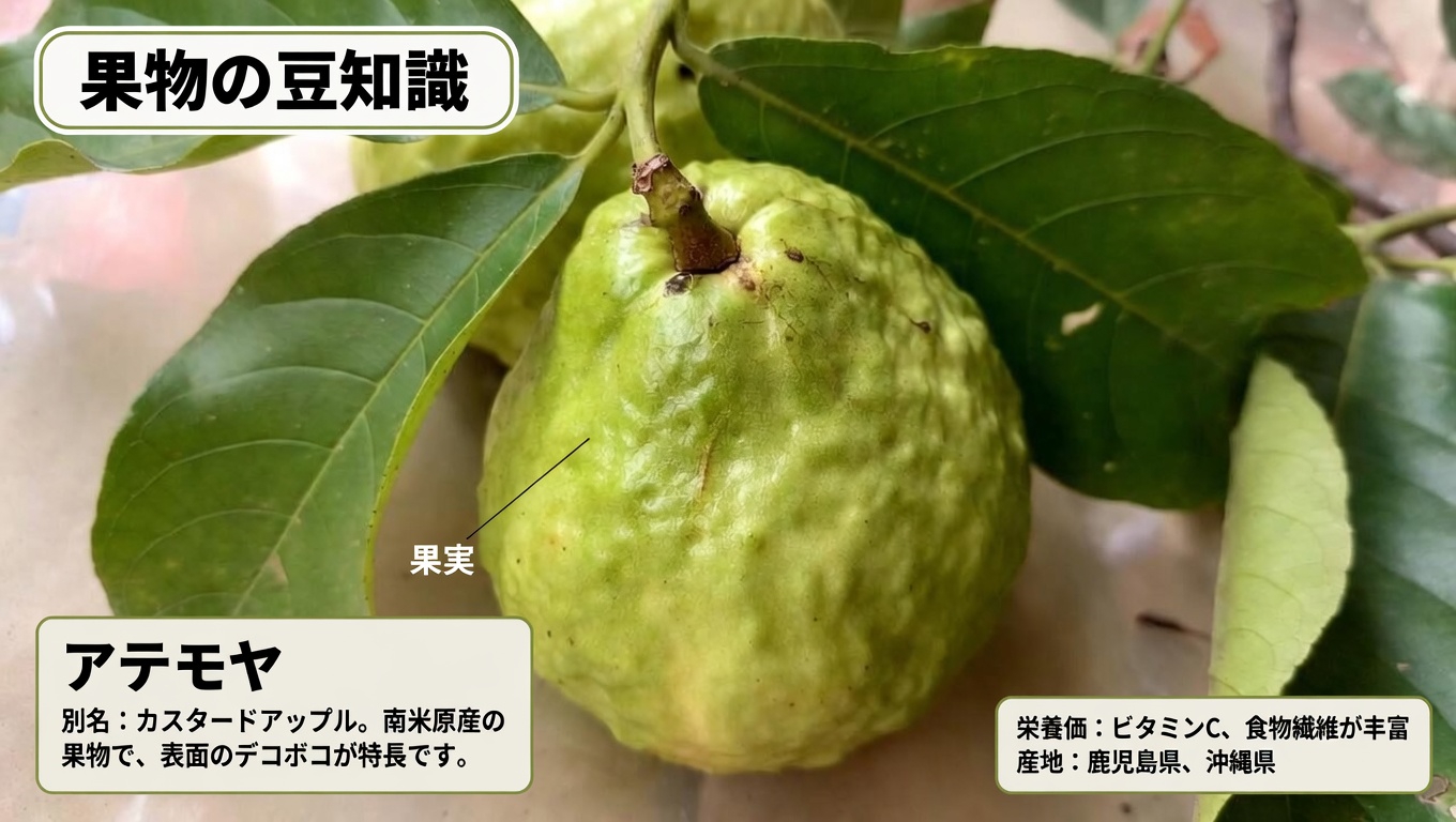 グアバで目の健康を自然にサポートする方法を探る:毎日の習慣ガイド