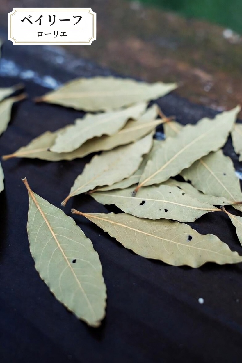 より健やかで美しく見える肌のために、月桂樹の葉を毎日のスキンケア習慣に取り入れる伝統的な方法を見つけましょう