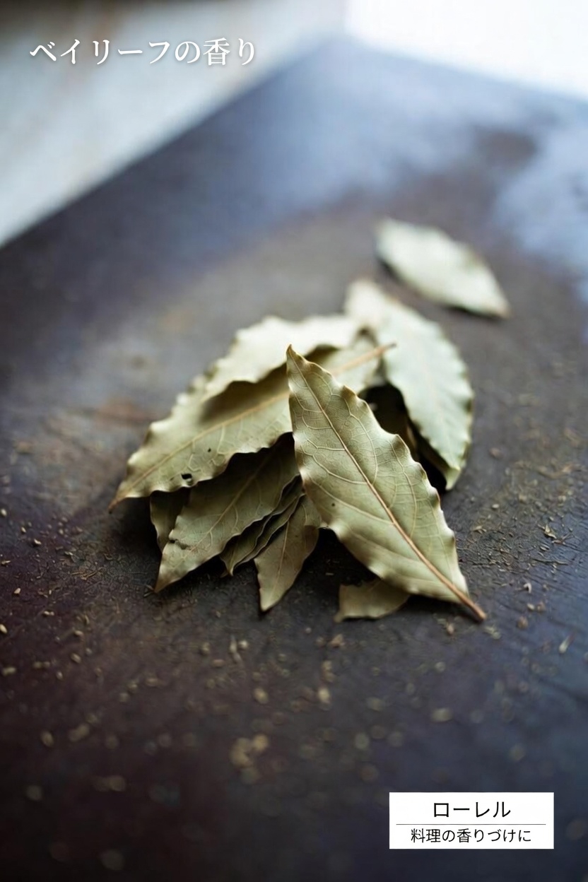 より健やかで美しく見える肌のために、月桂樹の葉を毎日のスキンケア習慣に取り入れる伝統的な方法を見つけましょう