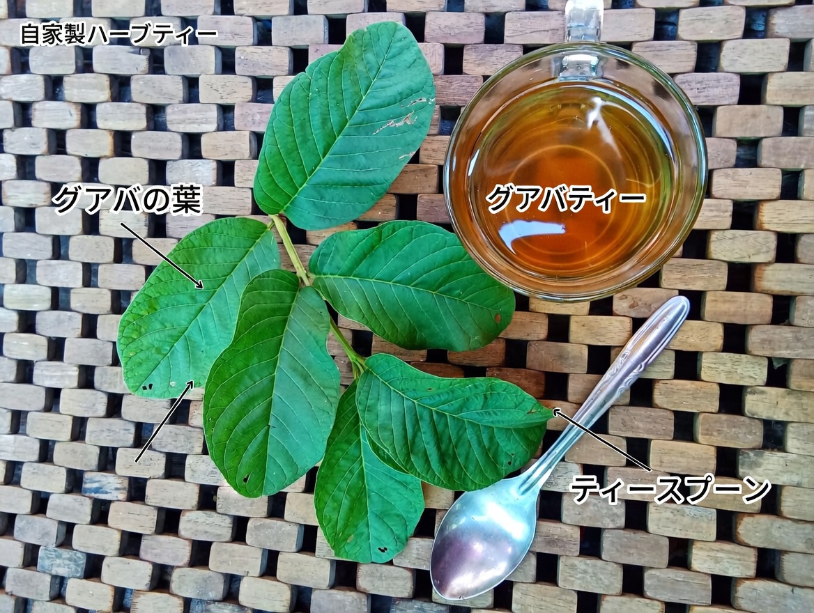 この身近な果物が、加齢とともに目を守る助けになるかも？