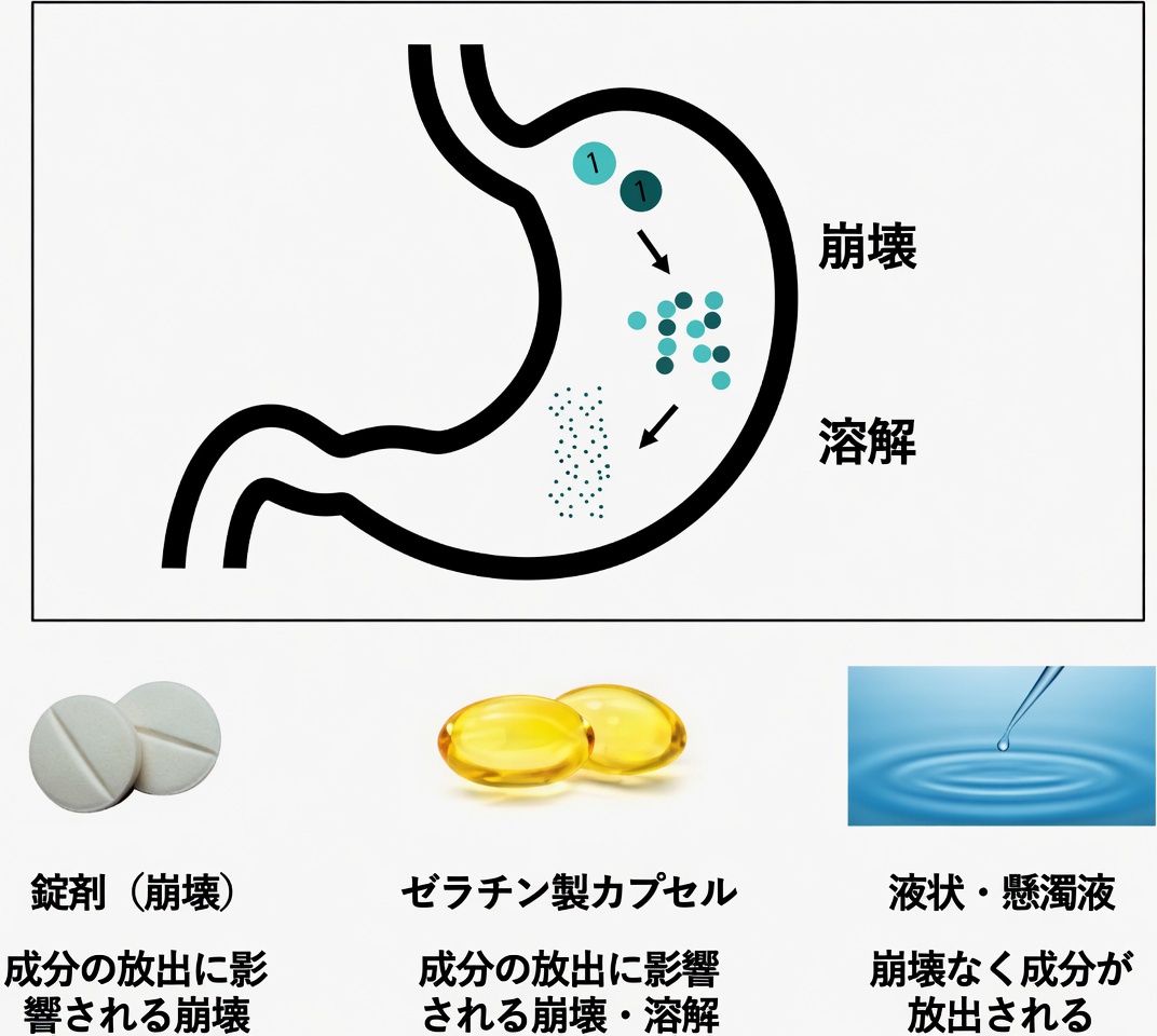 毎朝レボチロキシンを間違った方法で服用していませんか？多くの患者が見落としがちな習慣