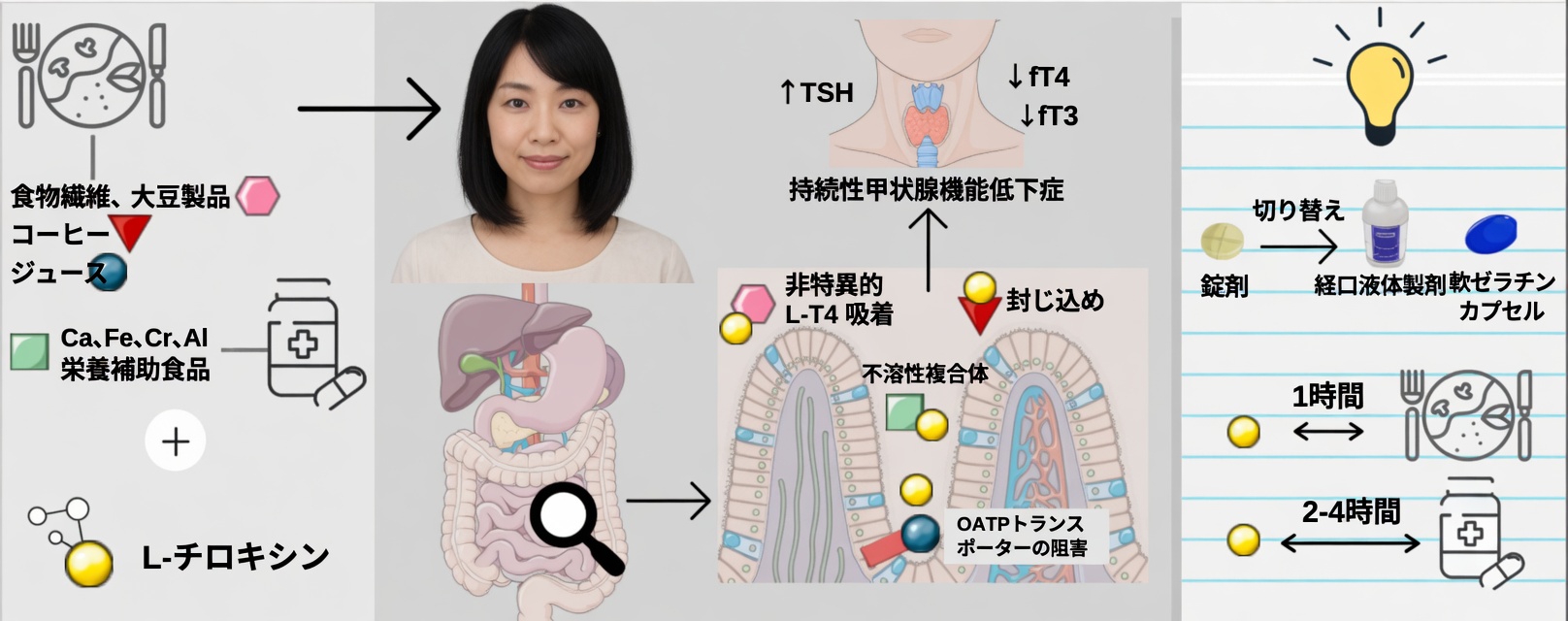 毎朝レボチロキシンを間違った方法で服用していませんか？多くの患者が見落としがちな習慣