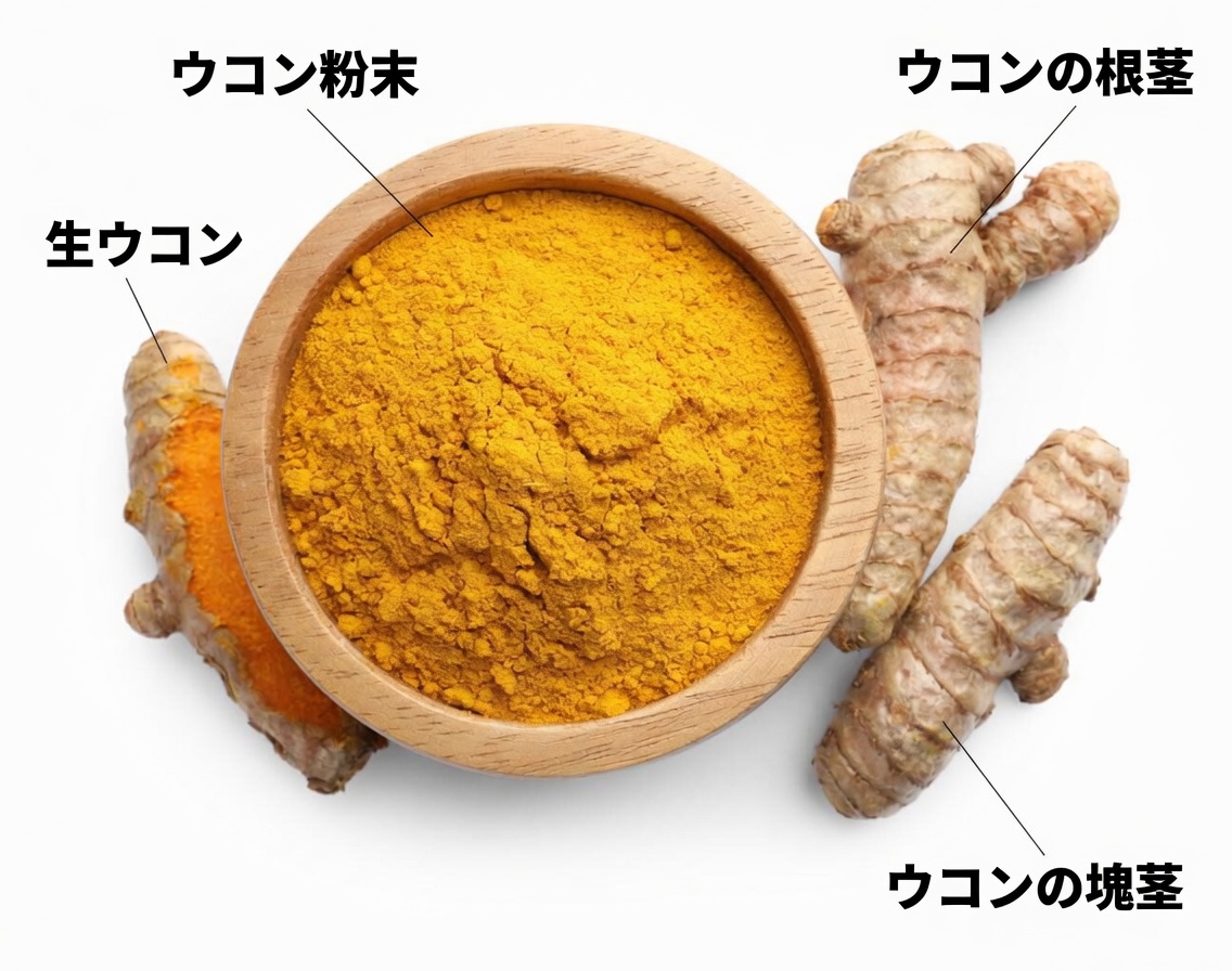 動脈をきれいに保ち、心臓の健康をサポートする食品トップ10