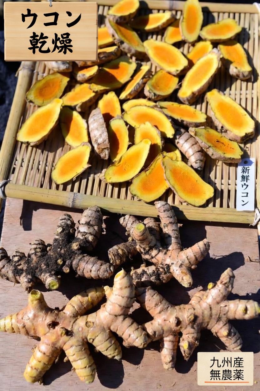 自然に健康的な血流と血行をサポートする可能性のある7つの食べ物