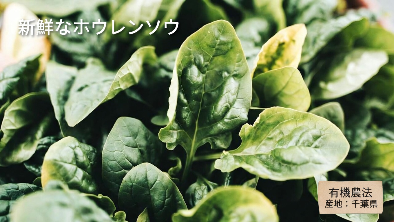 ビタミンKは体内でどのような役割を果たしていますか?