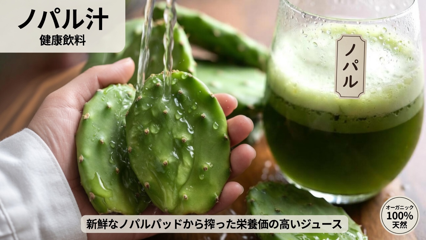 健康的な血糖値の維持を支えるウチワサボテンの可能性を探る