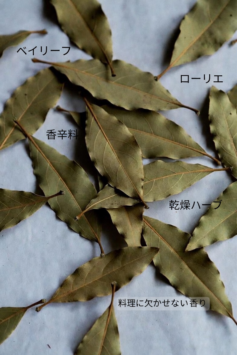 日常生活における月桂樹の葉の潜在的な健康効果を探る