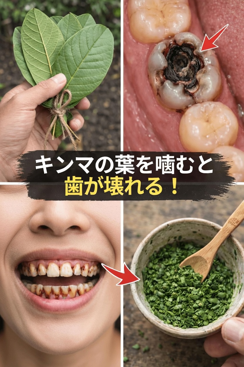 グアバの葉を口腔ケア習慣に取り入れる簡単な方法を見つけよう