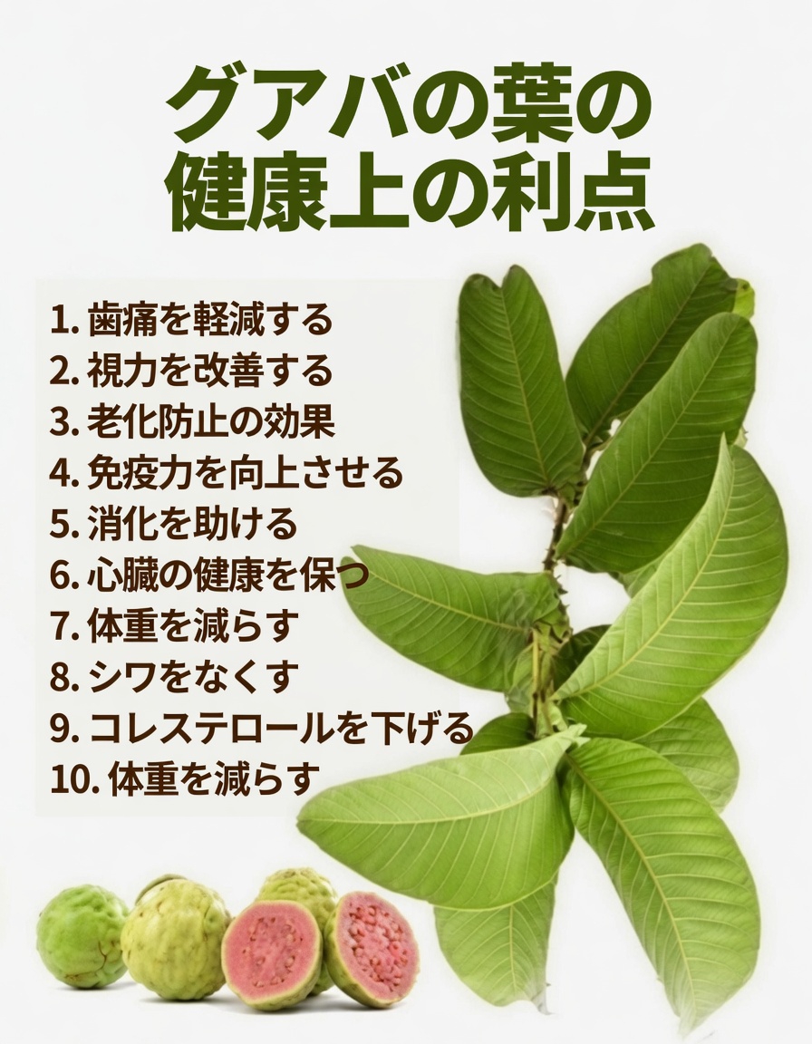 グアバの葉を口腔ケア習慣に取り入れる簡単な方法を見つけよう