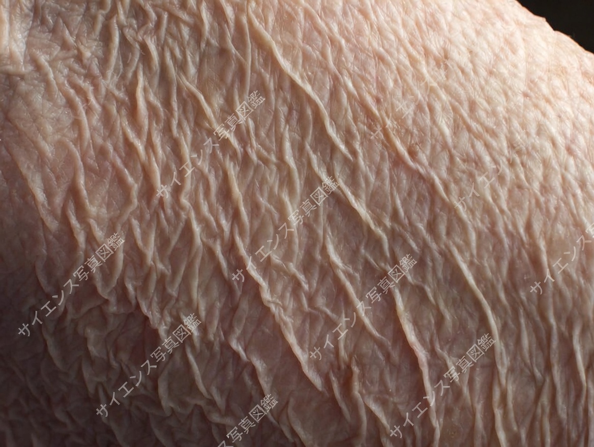 毎日やっている、よくある3分間のスキンケアの間違いとは？