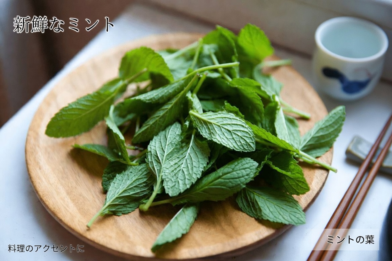 毎日の健康習慣を支える6つの身近なハーブ