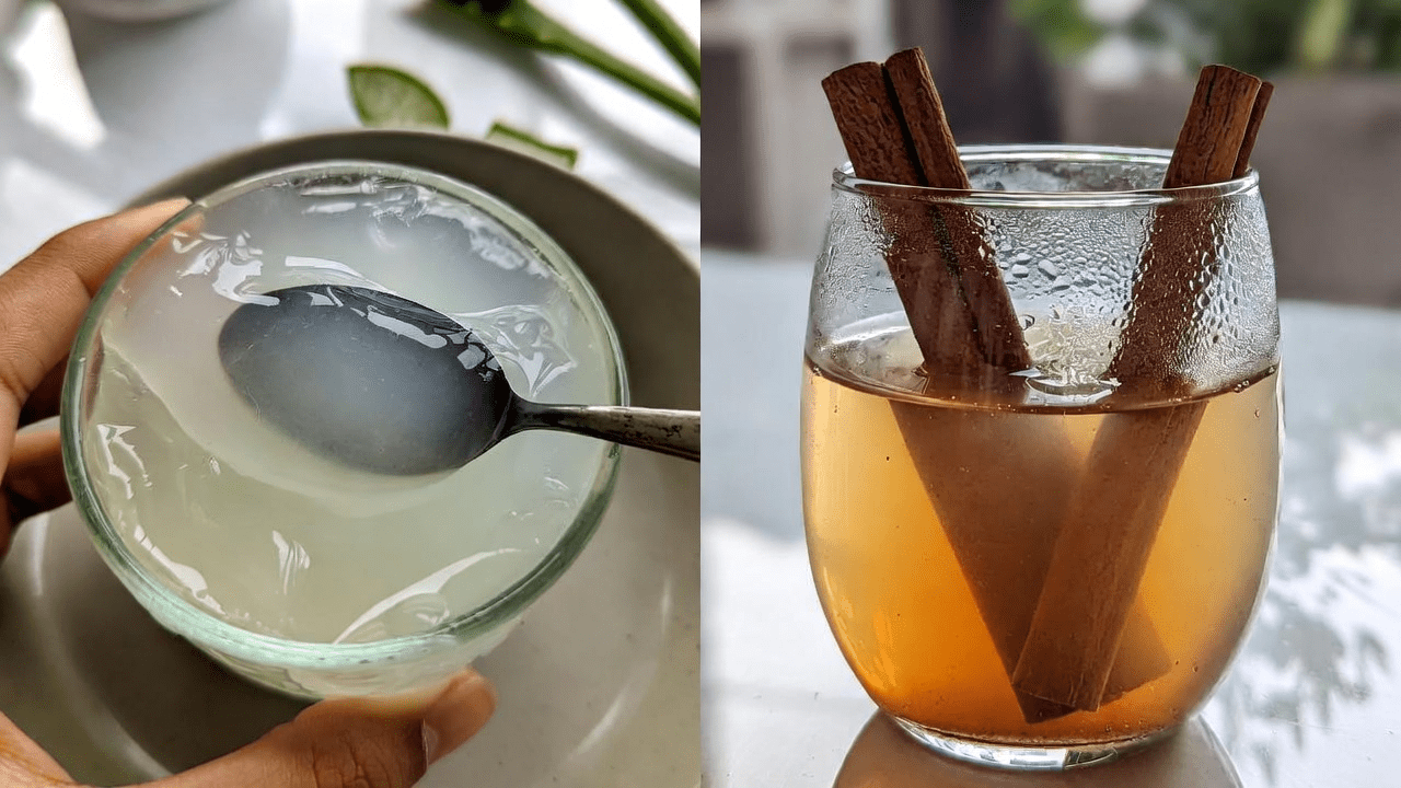 アロエベラとシナモン：健康維持と目のサポートに役立つ天然成分を探る