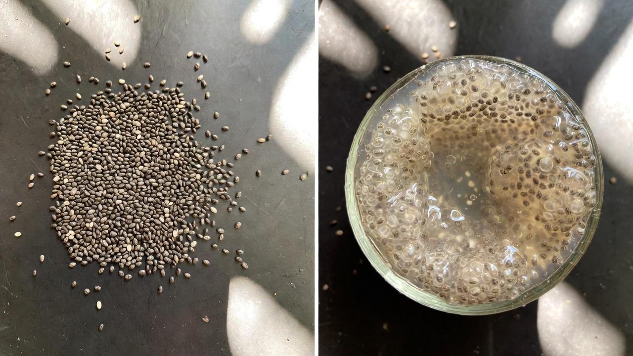 日々の快適さに大腸の健康が重要な理由