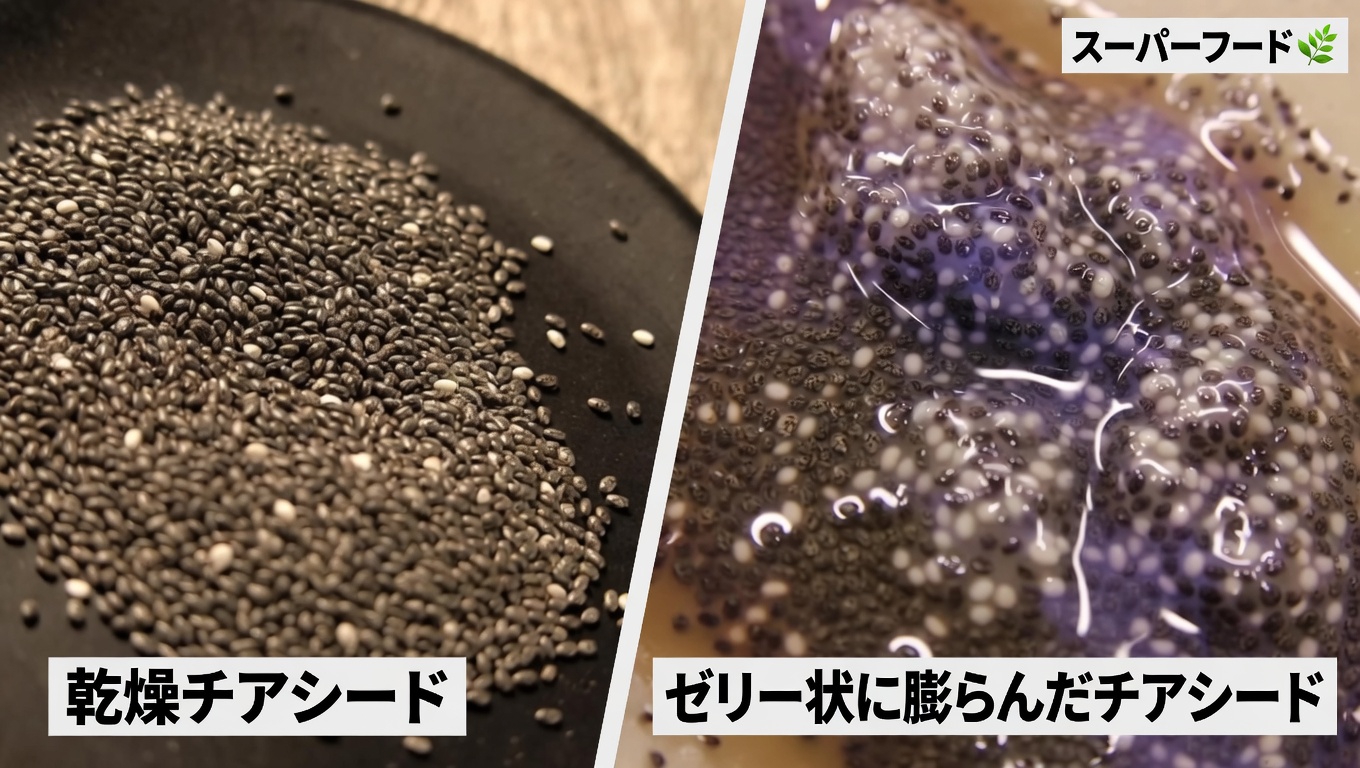 日々の快適さに大腸の健康が重要な理由