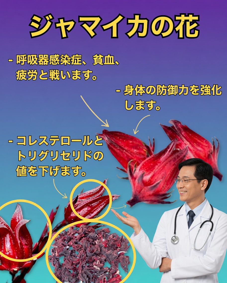 ジャマイカフラワー：心臓、血液、そして免疫防御のための天然の妙薬