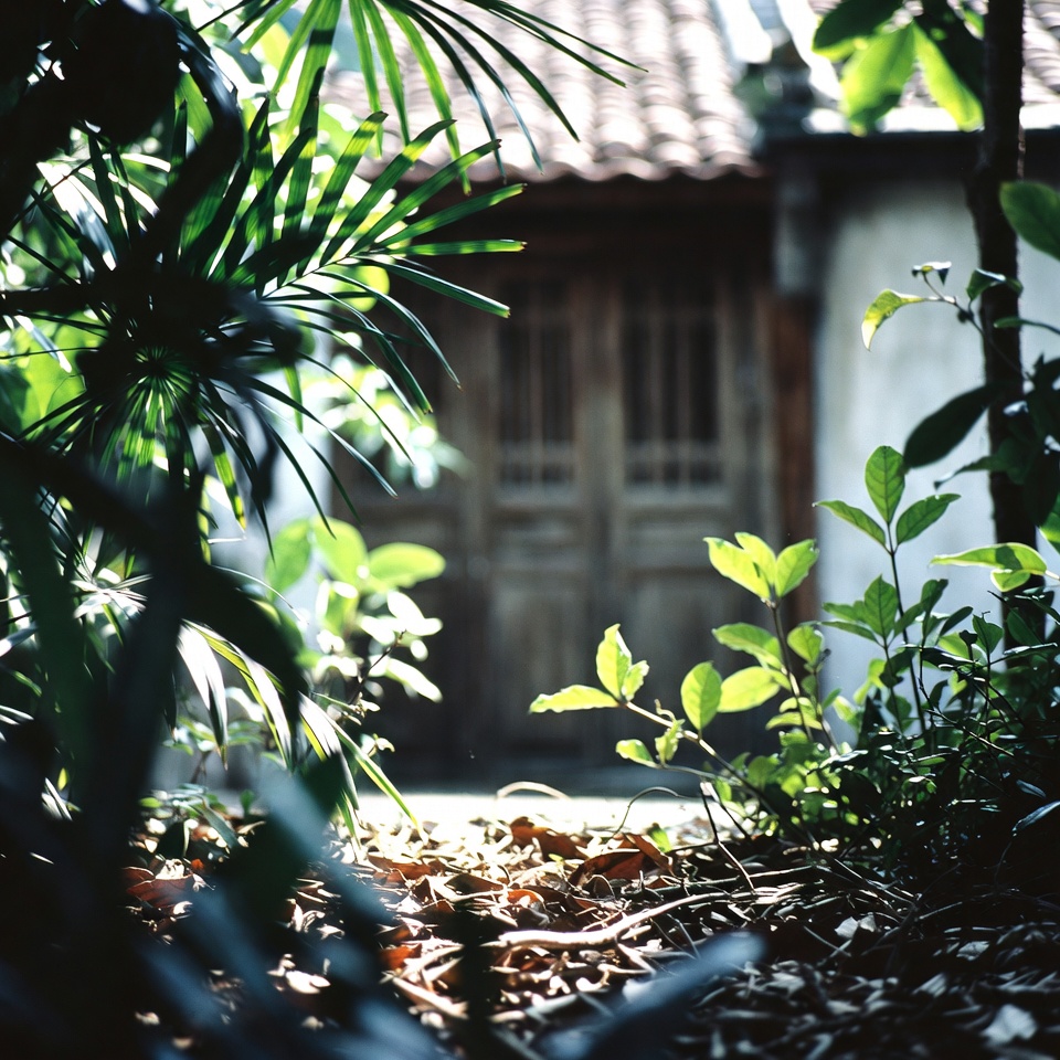 ベトナムの庭によくある緑の葉が、夜の睡眠を良くしてくれるかもしれないって知っていましたか?