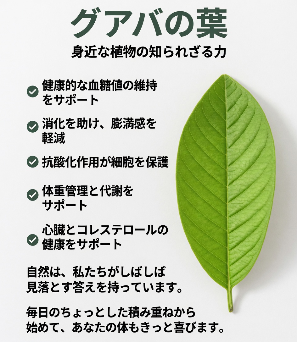 シンプルな朝の習慣を発見：グアバの葉茶と日々の血糖サポートにおけるその可能性