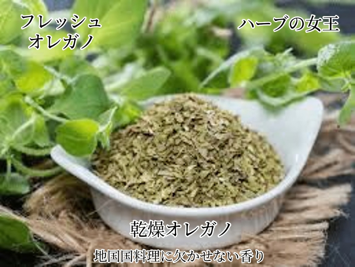 オレガノが毎日の健康習慣を意外な形でサポートする方法を発見しましょう