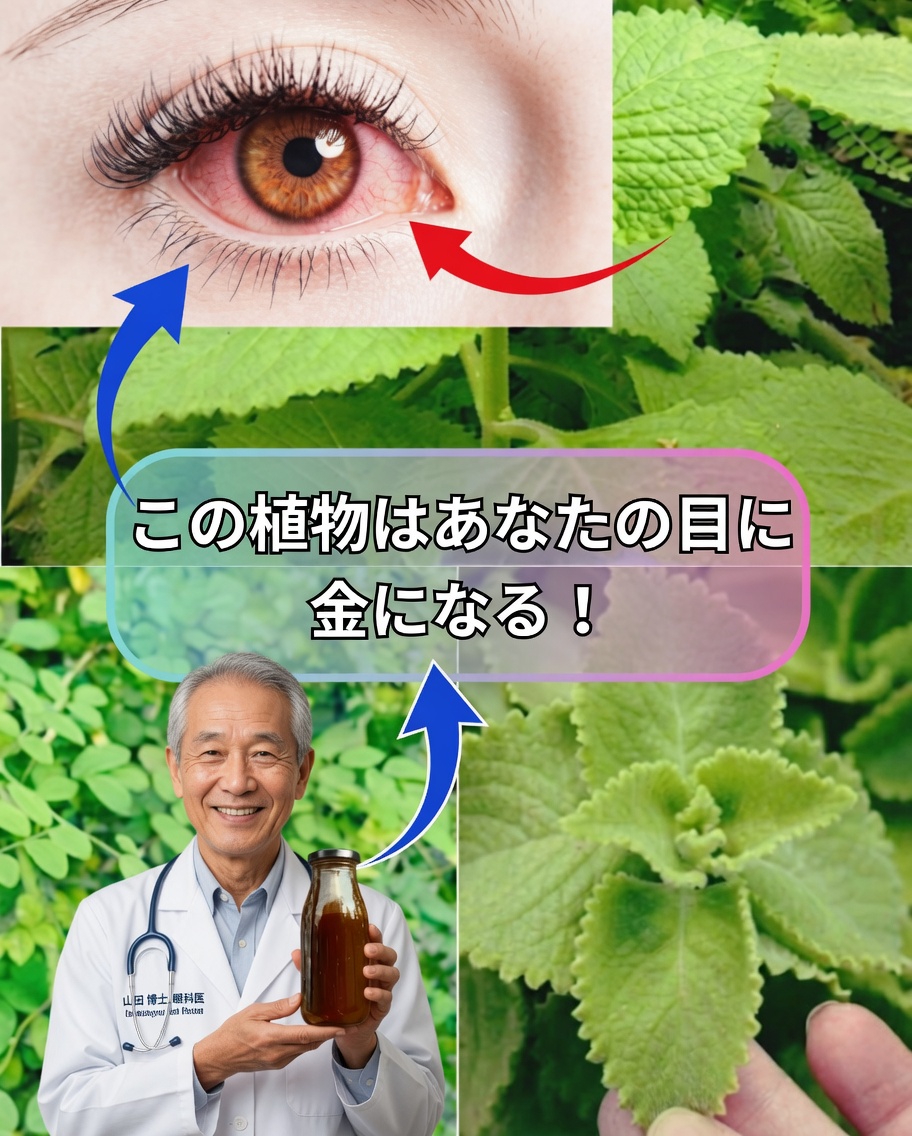 目の健康のためのオリガン・オレホン：効能、自然療法、使い方 🌿👁️