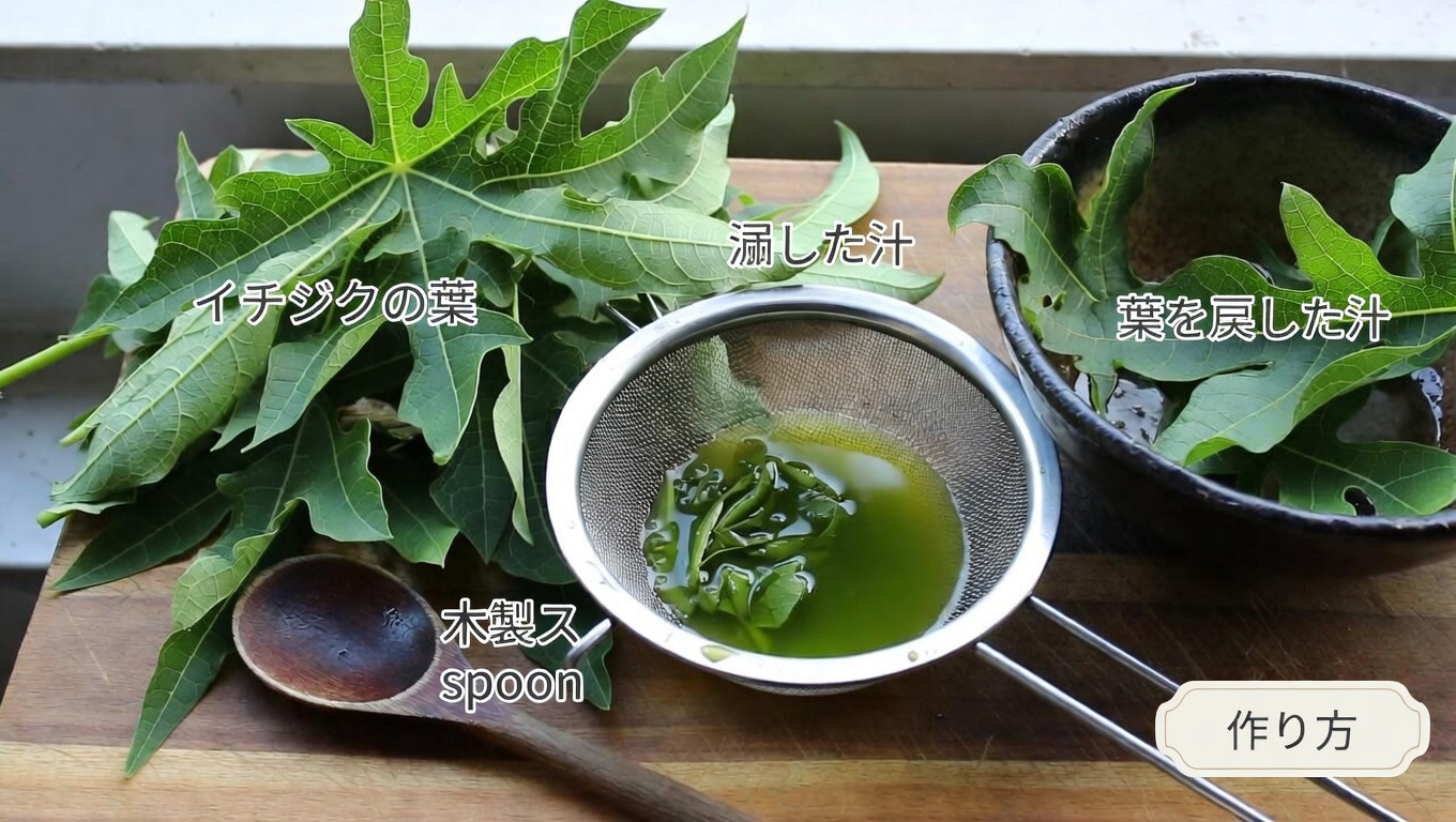 パパイヤの葉は4Cのナチュラルヘアの成長を早めるのに役立つ？ 2つの簡単な方法とフケ対策を探る