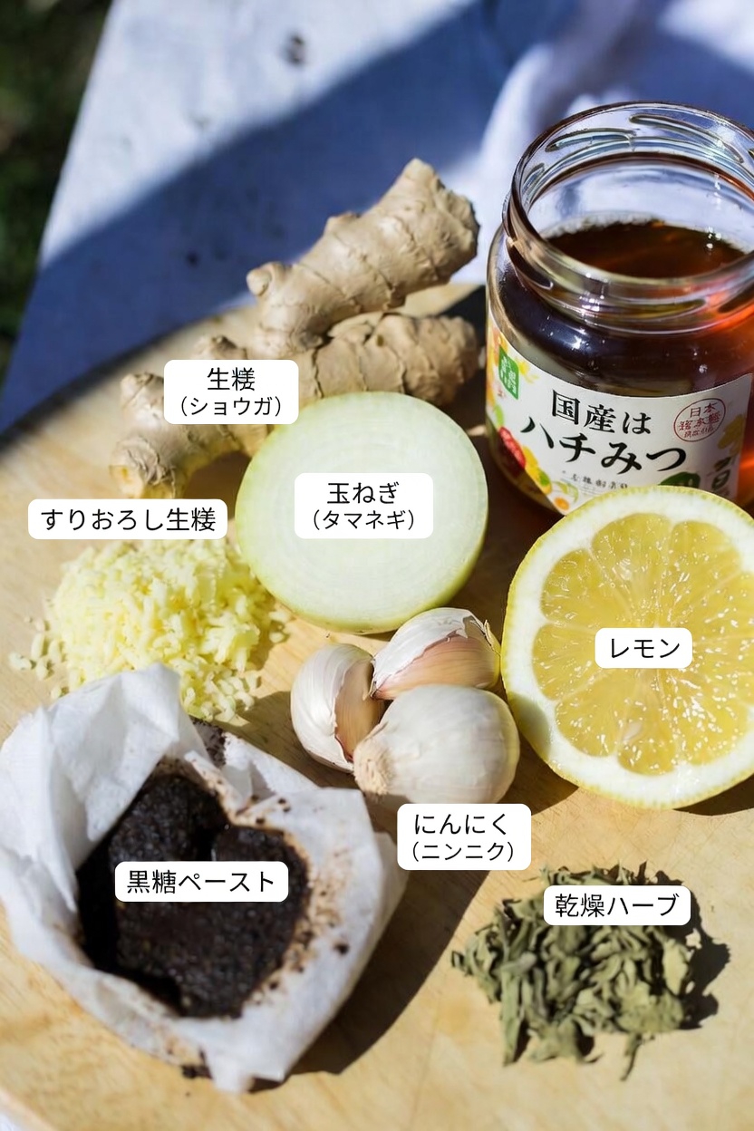 生姜、ニンニク、タマネギ、レモン、ハチミツの混合物に期待される健康効果を探る:自宅で簡単に作るガイド