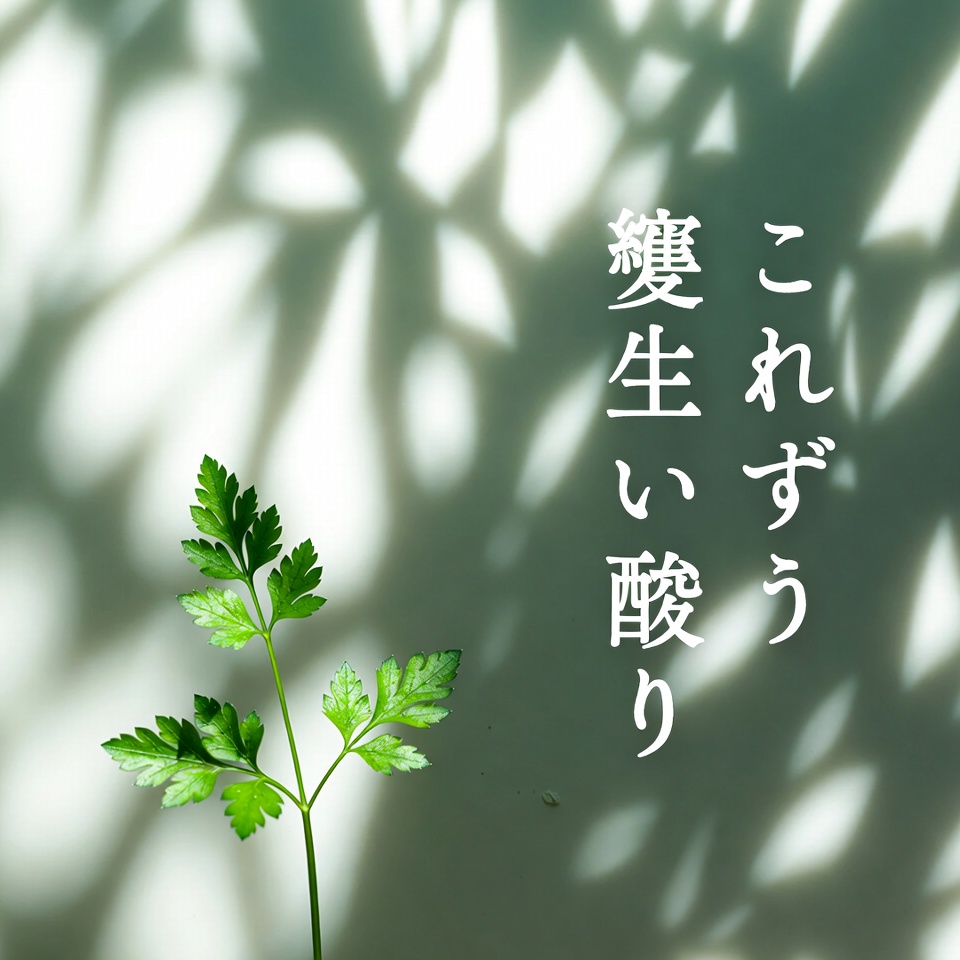 パセリ:脚のむくみや水分貯留に祖母たちが使っていたシンプルな remedy