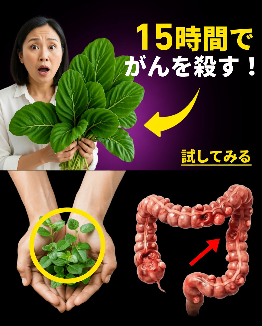 見過ごされてきた“葉”が、がん細胞と闘うあなたの体を助けるかもしれない(そして大手製薬会社があなたに知られたくない自然療法14選)