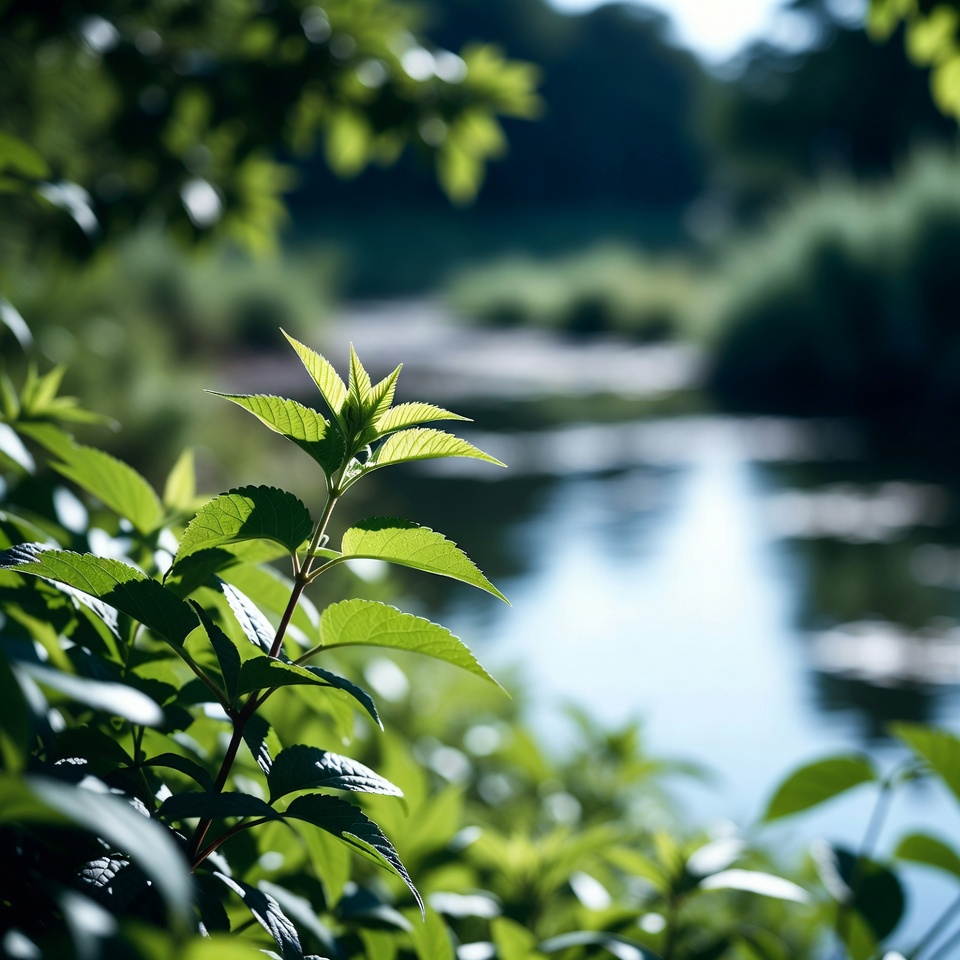 すべてを治す最も治癒力の高いハーブ