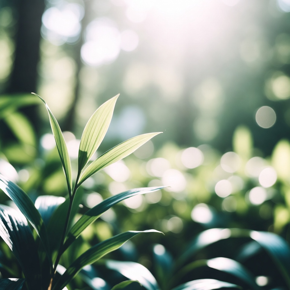 たった一度で血液を浄化し、肌を再生し、腎臓・肝臓・膵臓を徹底的に浄化する植物を発見してください