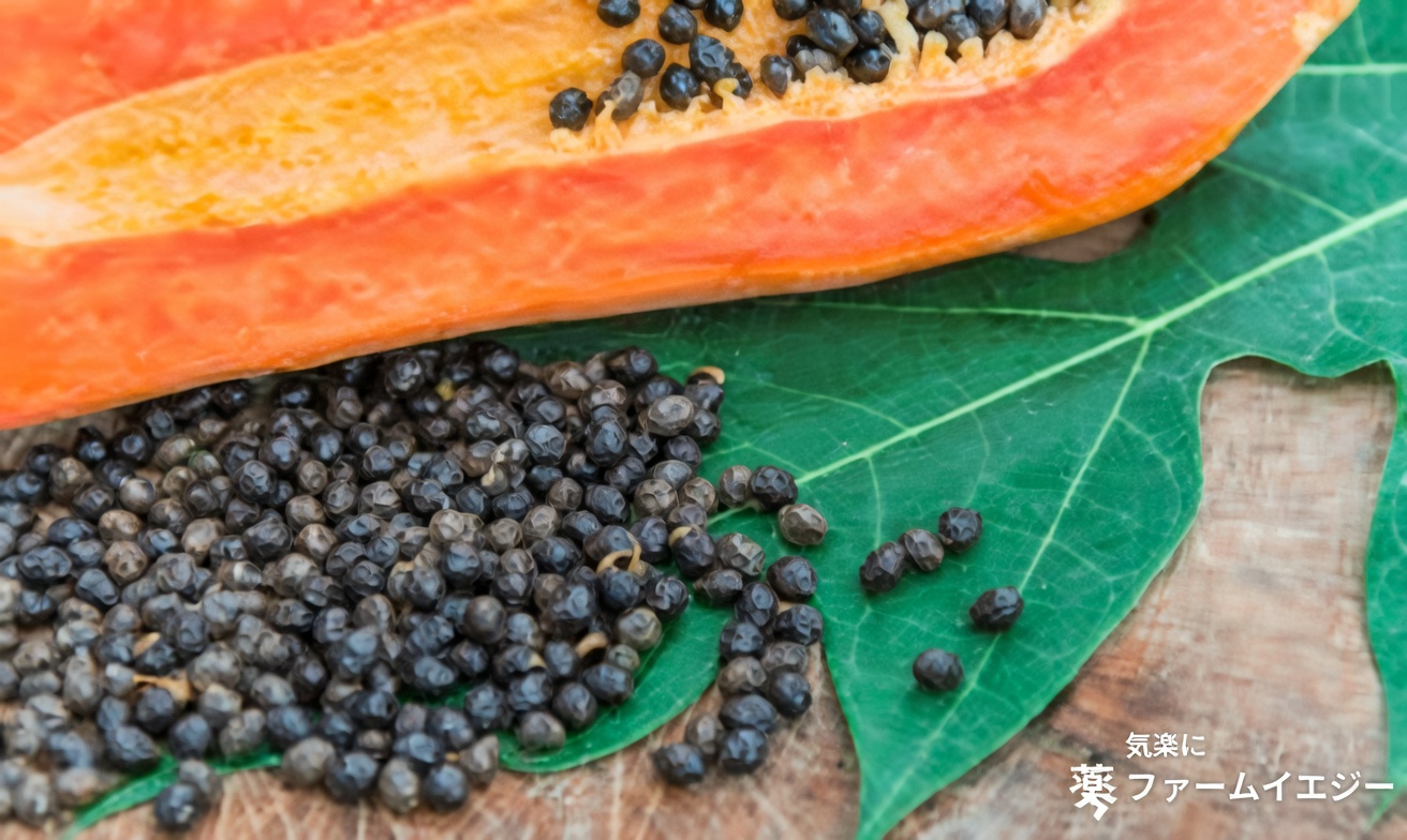 パパイヤの種を発見:膝、背中、脊椎の関節の不快感に対するシンプルな家庭療法の選択肢