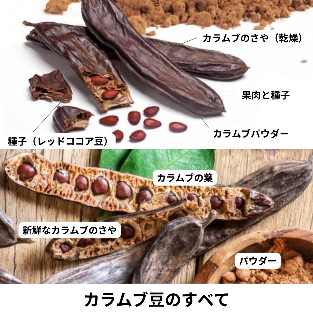 健康効果と簡単な手作り活用法