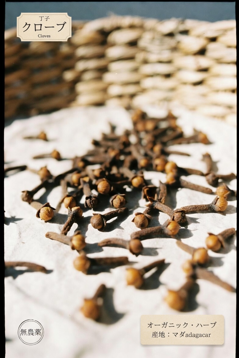 毎日クローブを噛むことは健康全般のサポートになるのか?この古代のスパイスを詳しく見る