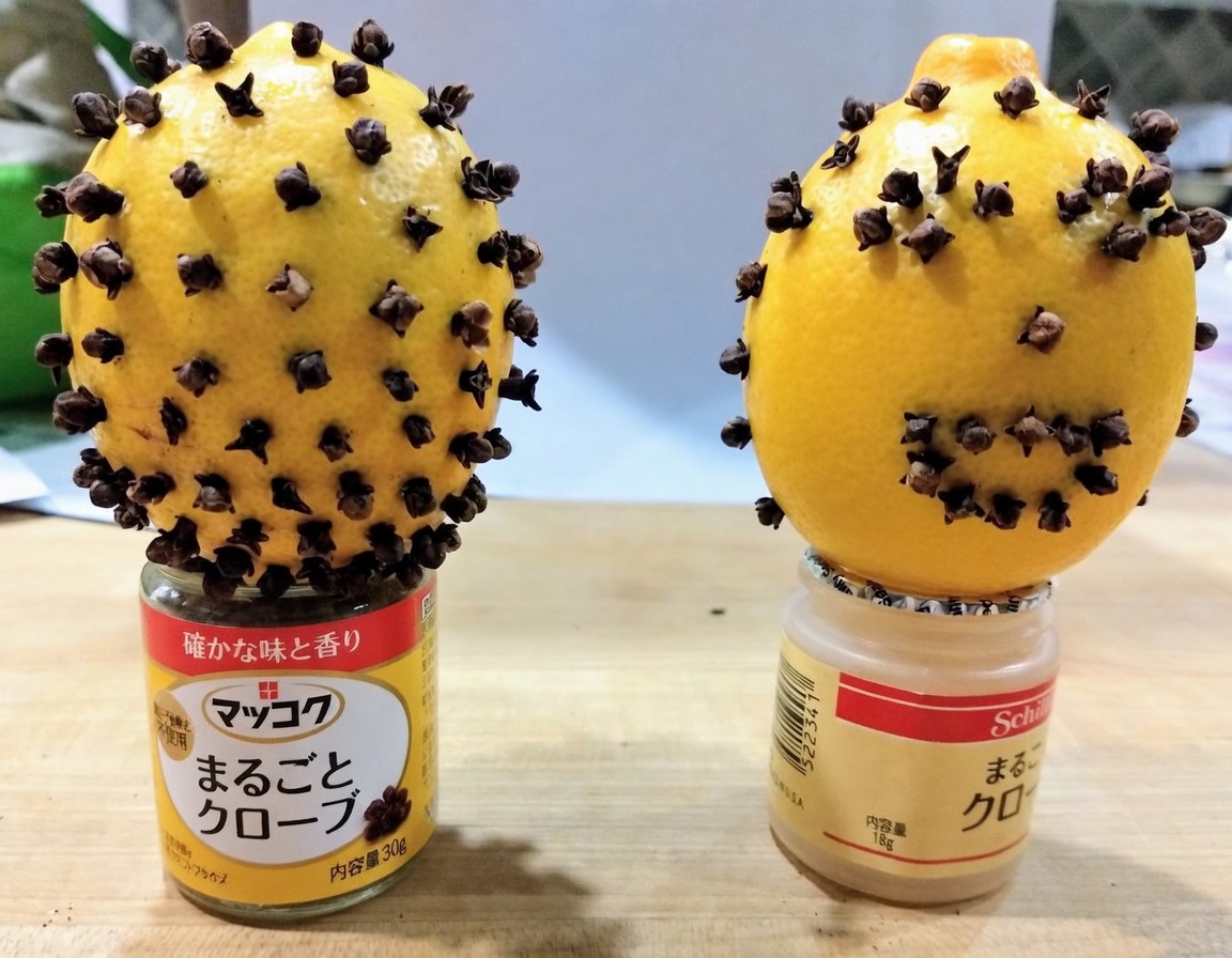 自宅で健康を支える自然な組み合わせを見つけよう