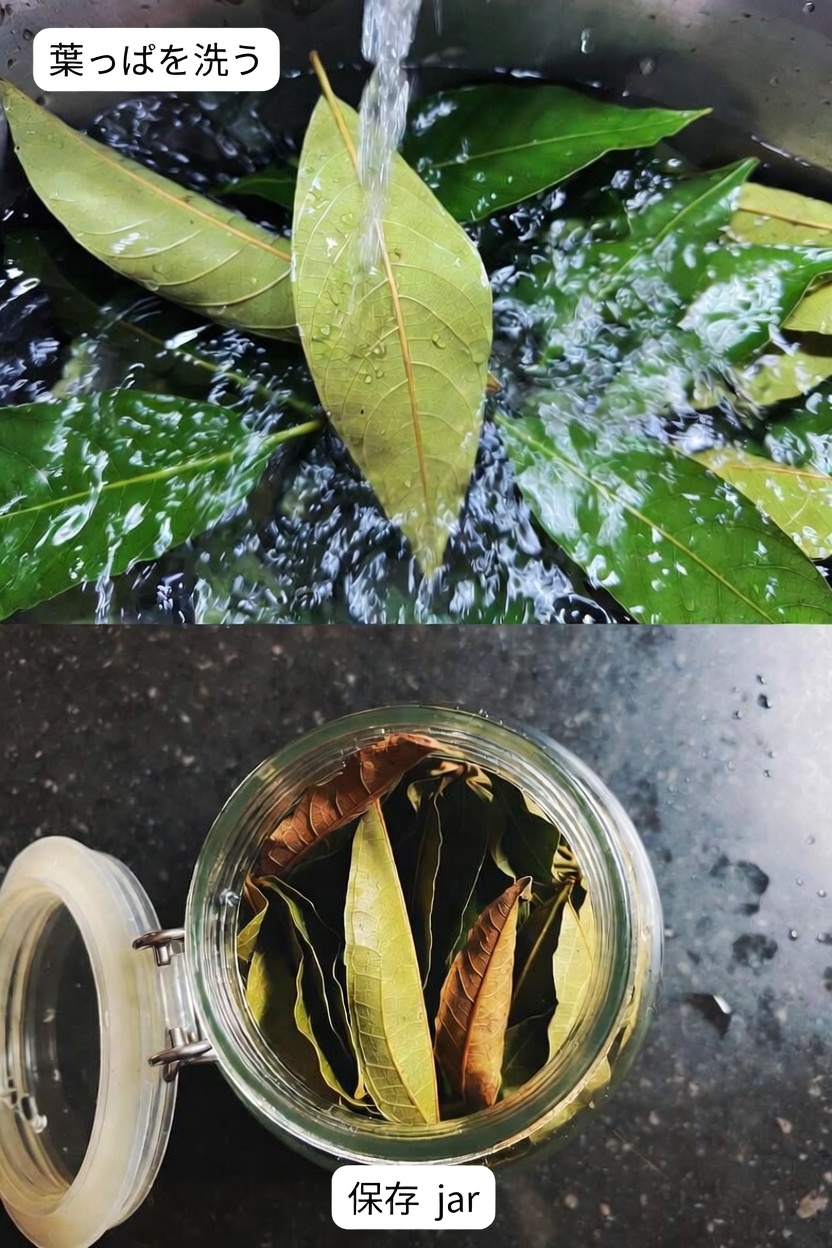 骨と関節の健康に役立つグアバの葉:今日から自宅で試せる簡単レシピとコツ