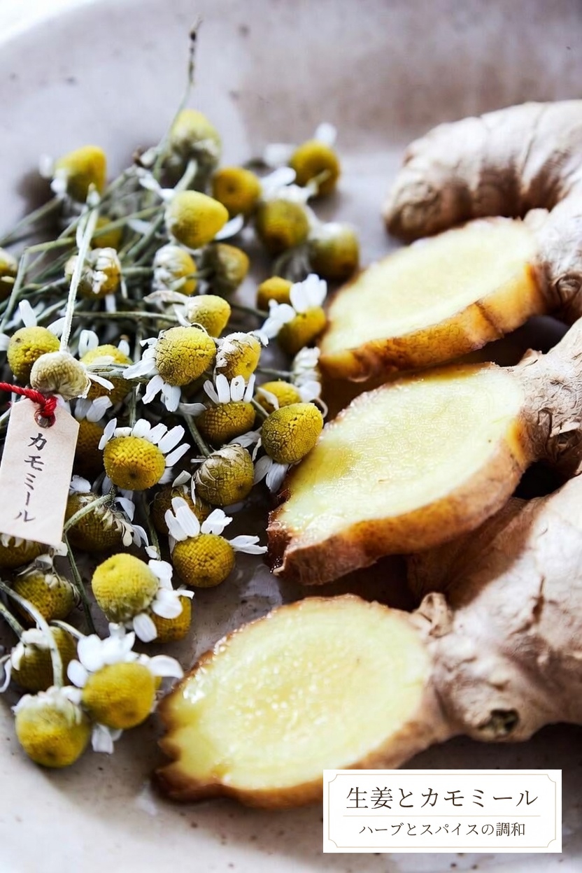 腎臓の健康を自然にサポートするために毎晩楽しめる、心を落ち着かせる就寝前ドリンク11選