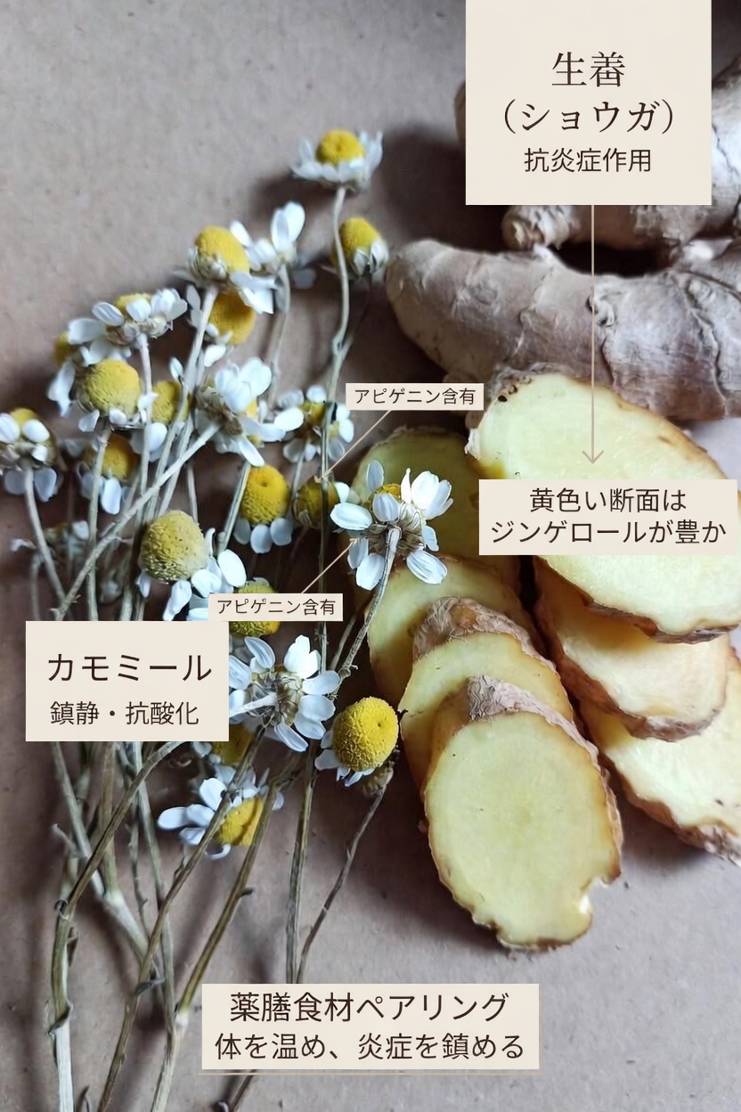 腎臓の健康を自然にサポートするために毎晩楽しめる、心を落ち着かせる就寝前ドリンク11選