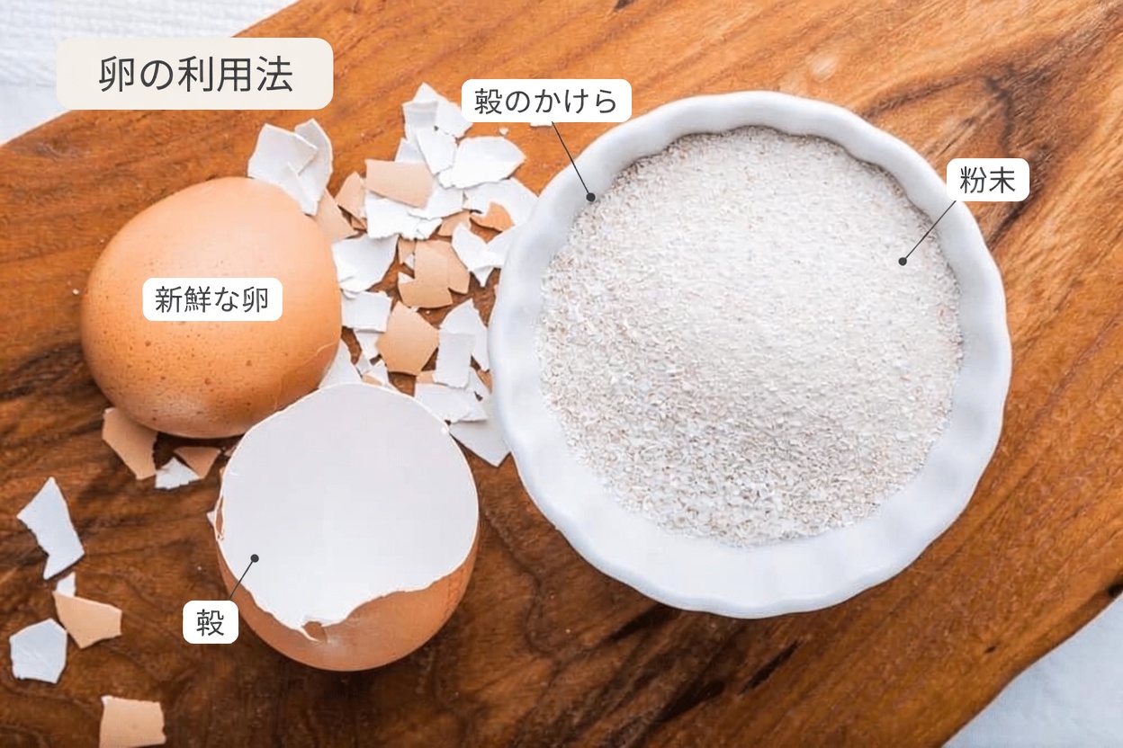 卵の殻で黄ばんだ歯がたった5分で真珠のような白さに