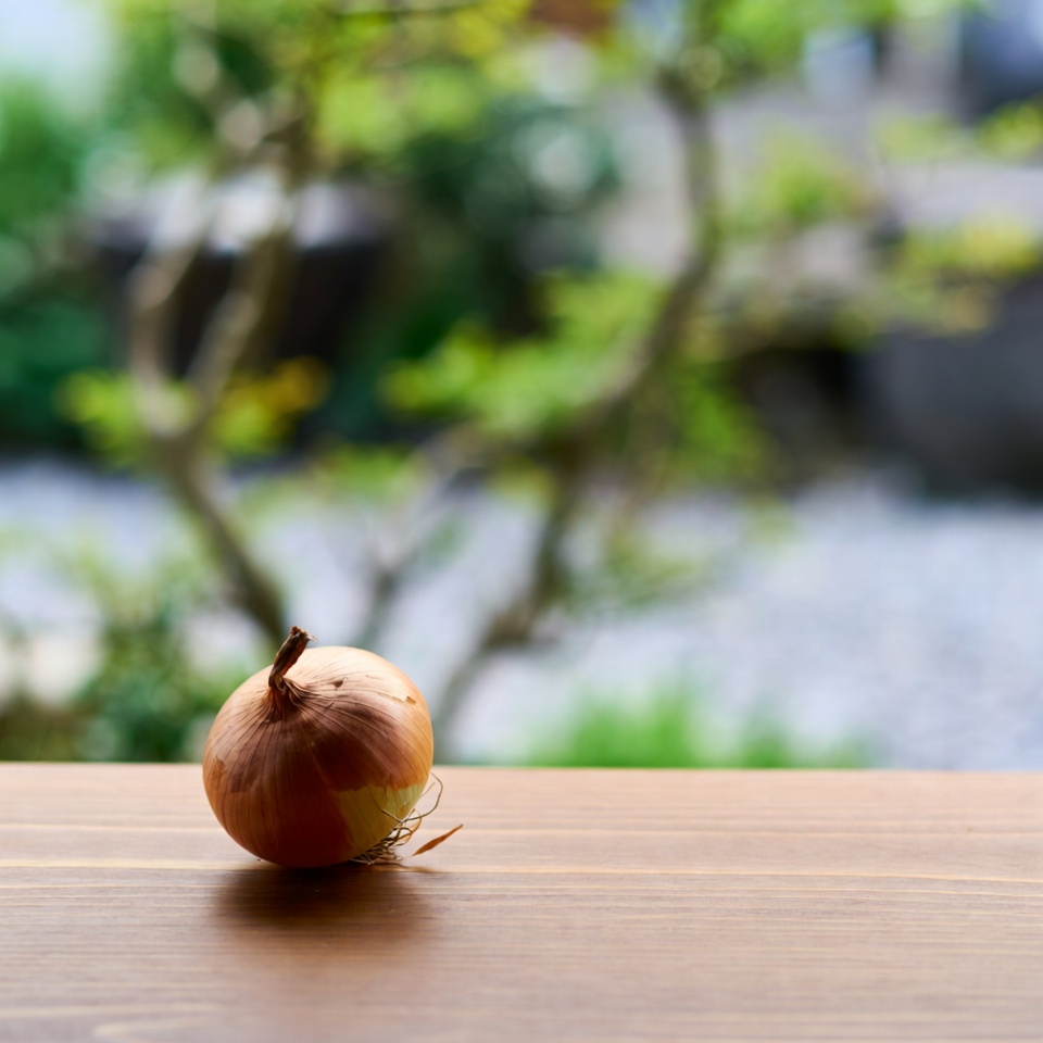 タマネギ:自然に輝く視界のための知られざる宝物