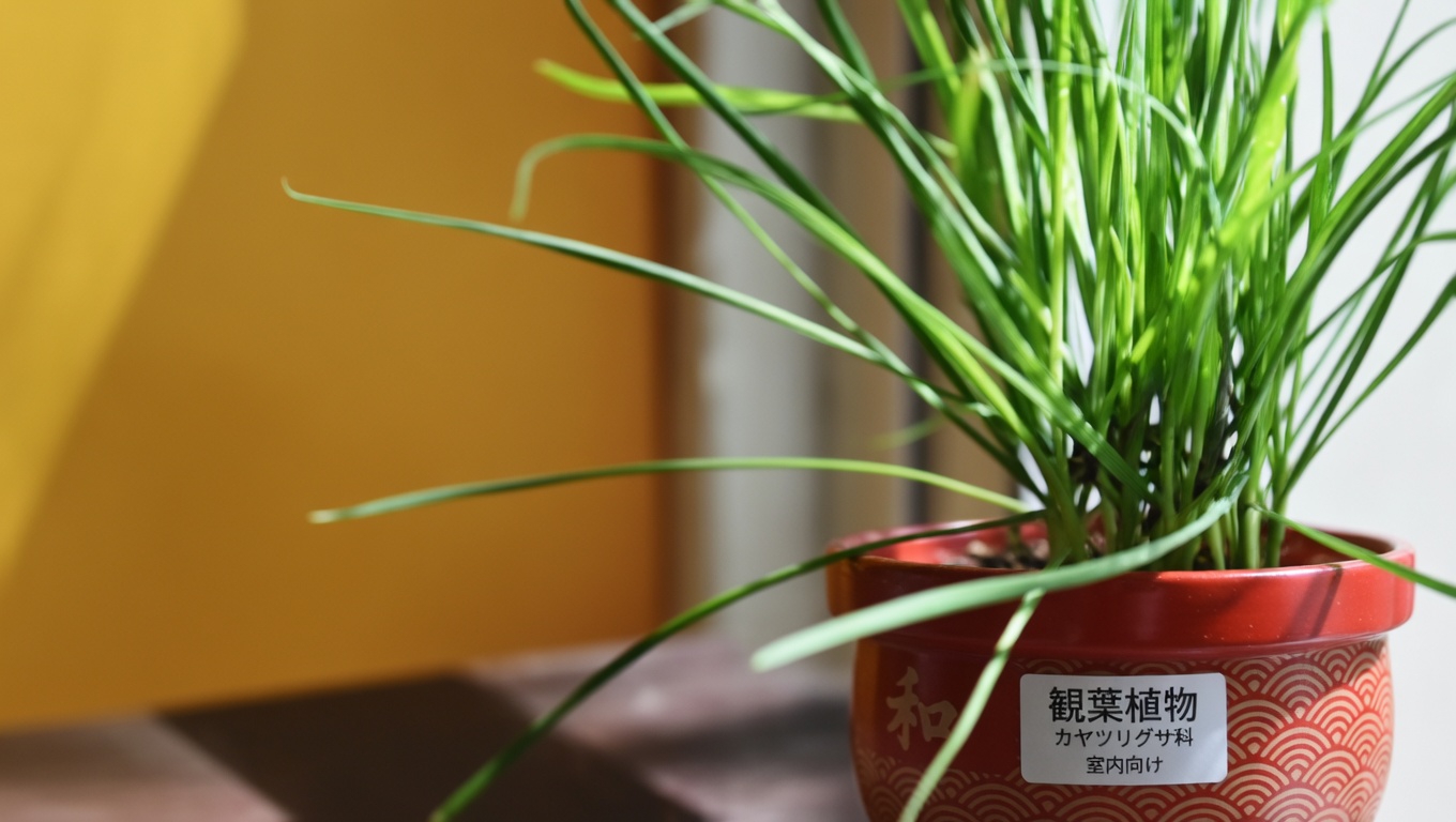 耳の健康のためのニンニク：自然な緩和と保護