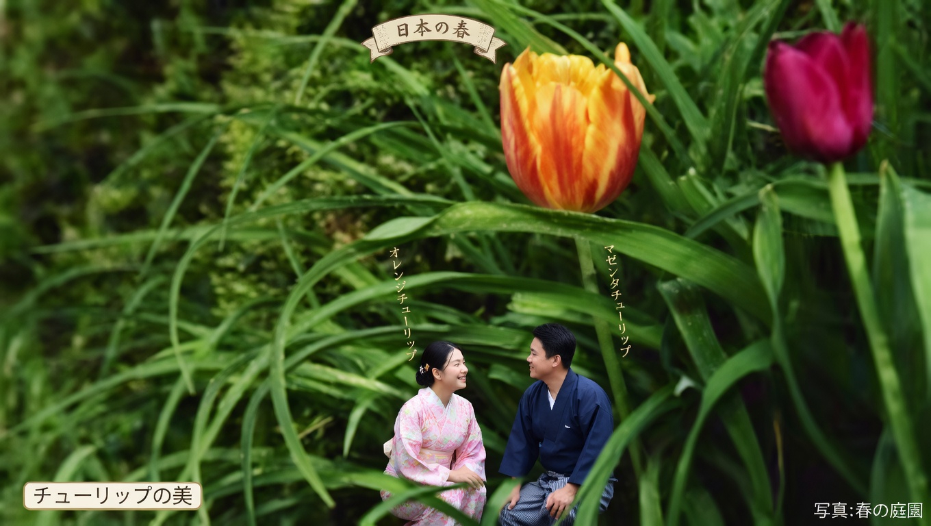 スイカズラ（Lonicera japonica）：健康効果と手作りでの活用法