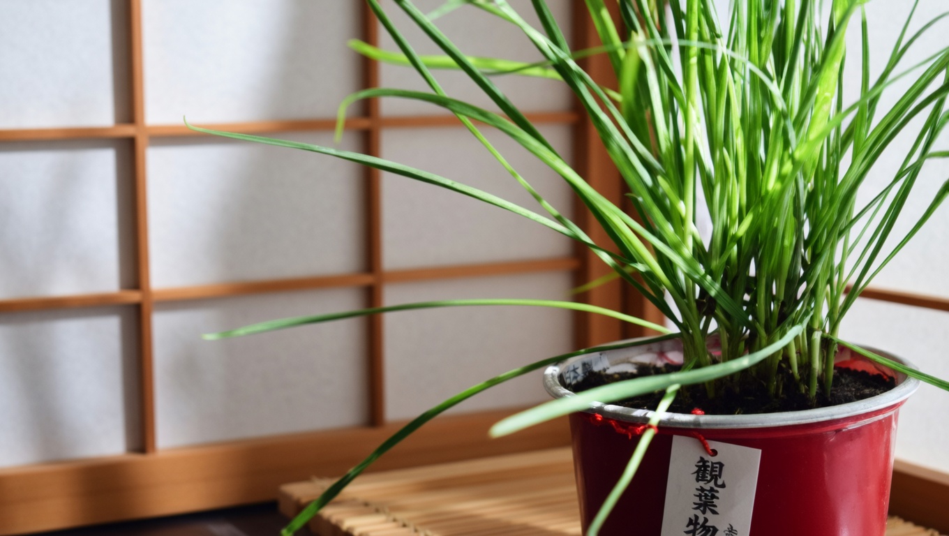 シロツメクサ（Trifolium repens）：15の効能と家庭での活用法