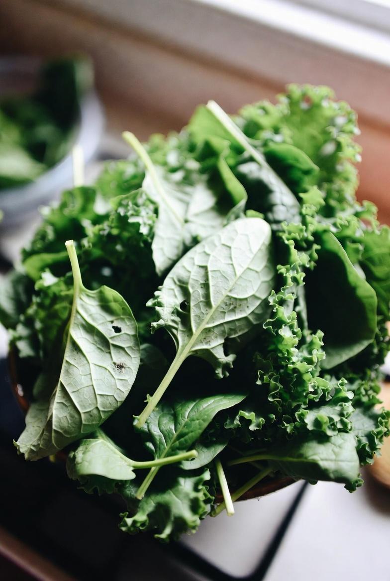 高齢者の健康な脚の血行をビタミンKがどのように支えるのかを知ろう