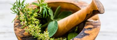 身近なハーブで脚の健やかな血行をサポートする簡単な方法を見つけましょう