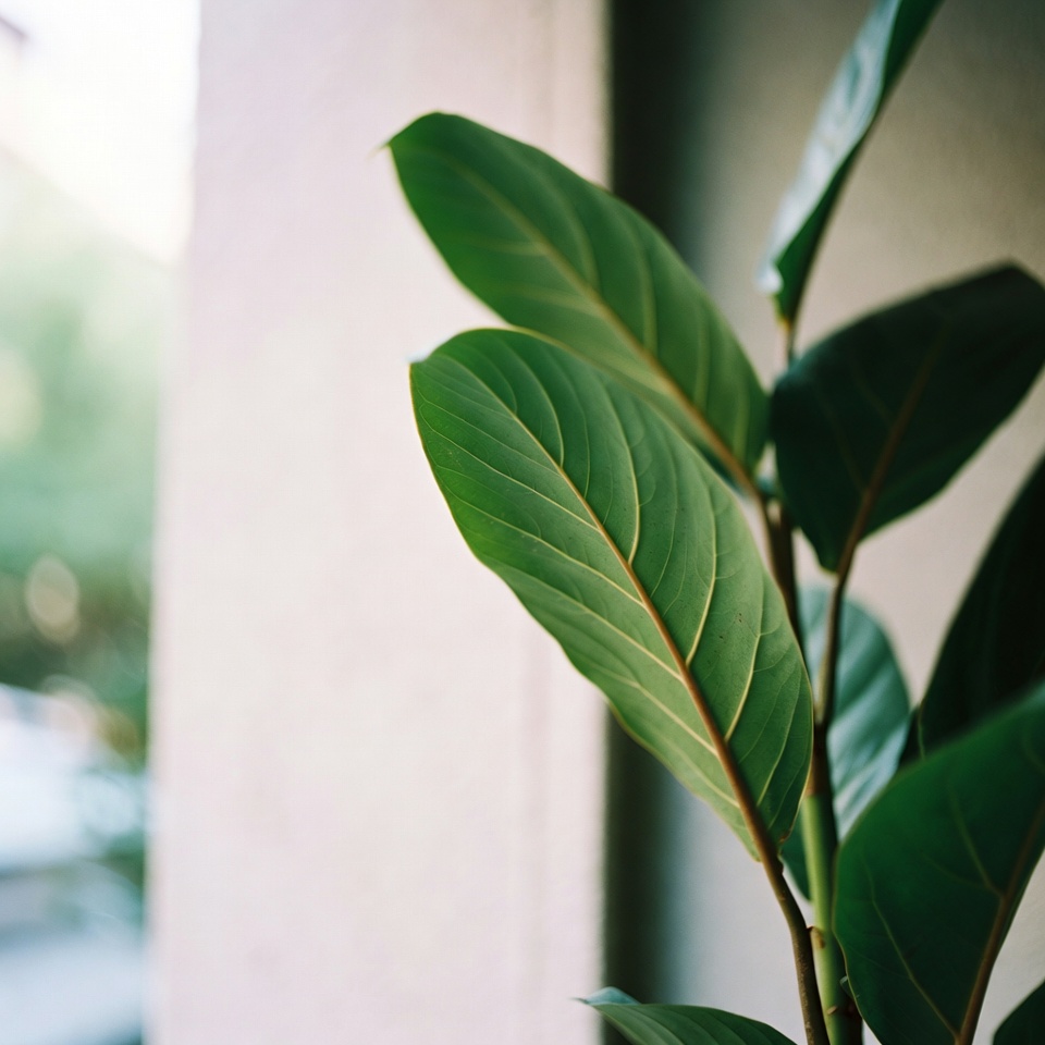 あなたの庭に眠る隠れた宝を発見：この植物が金と同じ重さの価値を持つ理由！