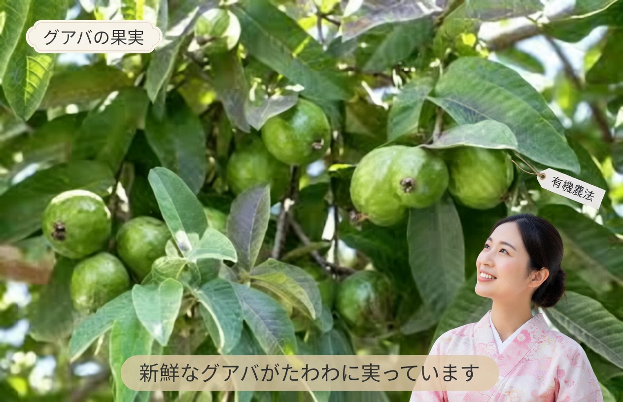 心臓の健康をサポートするグアバ葉茶の可能性を探る